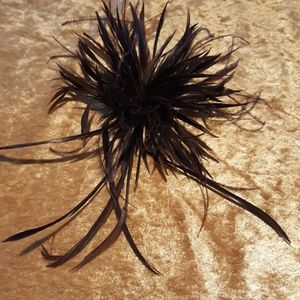 Stunning statement hair clip and brooch.